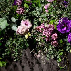 パレスホテル東京の写真23枚目