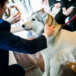 ルージュアルダンの写真10枚目