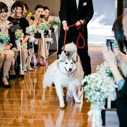 ルージュアルダンの写真13枚目