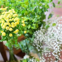 ララシャンス 博多の森の写真5枚目