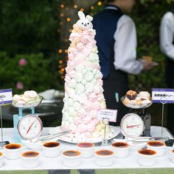 アニヴェルセル 東京ベイの写真19枚目