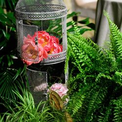 パレスホテル東京の写真36枚目