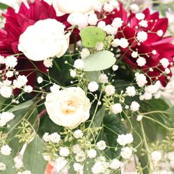 アネーリ軽井沢の写真25枚目