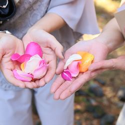 アネーリ軽井沢の写真3枚目