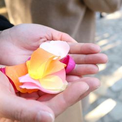 アネーリ軽井沢の写真2枚目