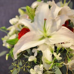 アネーリ軽井沢の写真29枚目