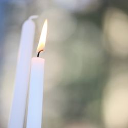 アネーリ軽井沢の写真13枚目