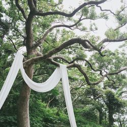 古我邸の写真24枚目