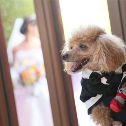 シェラトン・グランデ・トーキョーベイ・ホテルの写真17枚目