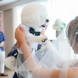 BAYSIDE GEIHINKAN VERANDA minatomiraiの写真32枚目