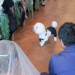 BAYSIDE GEIHINKAN VERANDA minatomiraiの写真30枚目