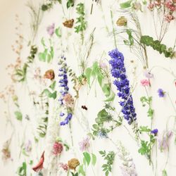 メゾン プルミエールの写真9枚目