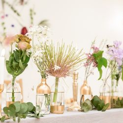 メゾン プルミエールの写真25枚目