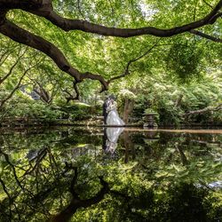 ホテルニューオータニの写真13枚目