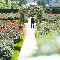 ホテルニューオータニの写真34枚目