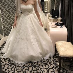 百花籠の写真36枚目