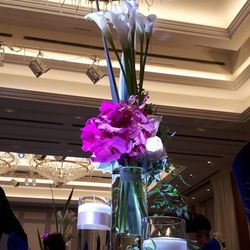 ラ・スイート神戸オーシャンズガーデンの写真25枚目