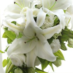 ベルヴィ アズ グレイスの写真17枚目