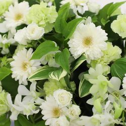 ベルヴィ アズ グレイスの写真11枚目