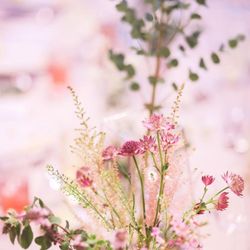 TRUNK HOTELの写真34枚目