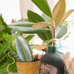 アニヴェルセル 東京ベイの写真11枚目