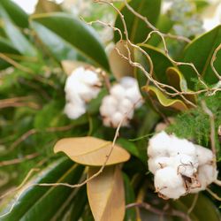 アニヴェルセル 東京ベイの写真16枚目