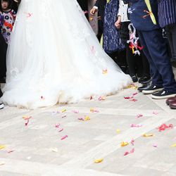 グラストニアの写真26枚目