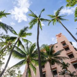 クアンティックの写真13枚目