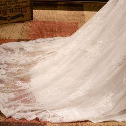 クアンティックの写真4枚目