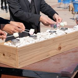 リビエラ逗子マリーナの写真25枚目