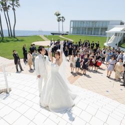 リビエラ逗子マリーナの写真28枚目