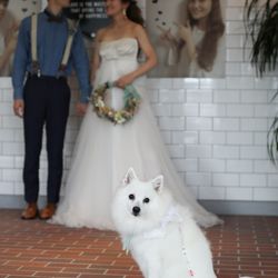 BAYSIDE GEIHINKAN VERANDA minatomiraiの写真22枚目