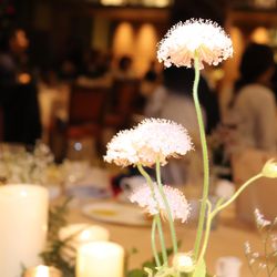 クアンティックの写真31枚目