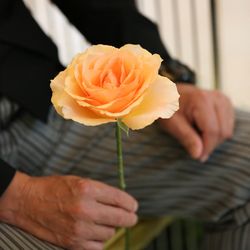 クアンティックの写真12枚目