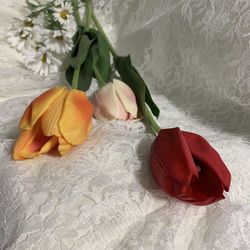 エスプリ・ド・ナチュールの写真18枚目