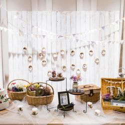 クアンティックの写真29枚目