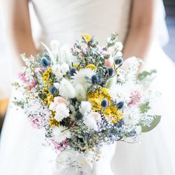 クアンティックの写真18枚目