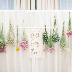 クアンティックの写真26枚目