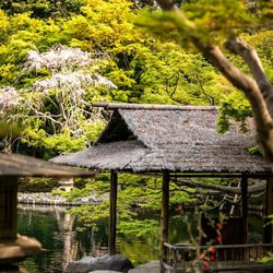 八芳園の写真16枚目