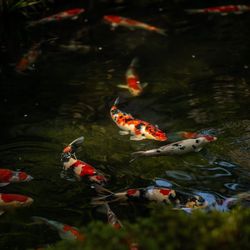八芳園の写真21枚目