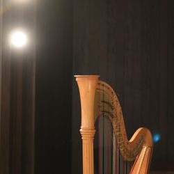 The South Harbor Resortの写真7枚目