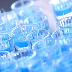 The South Harbor Resortの写真29枚目