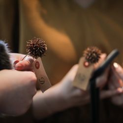 ザ ナンザンハウスの写真27枚目