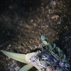 ザ ナンザンハウスの写真31枚目