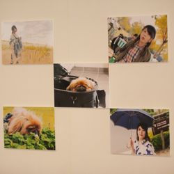 ラポールの写真23枚目