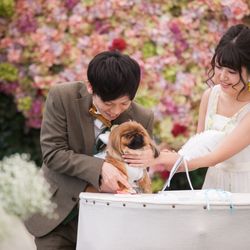 ラポールの写真33枚目