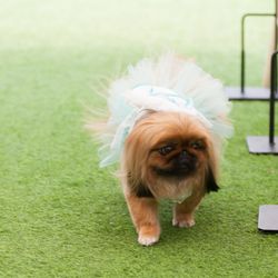 ラポールの写真2枚目