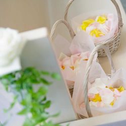 リビエラ東京の写真15枚目