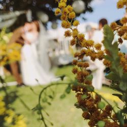 サイレントクラブの写真34枚目