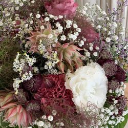 ルージュアルダンの写真26枚目